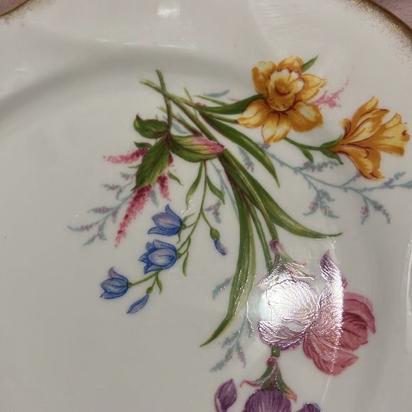 Vintage Salisbury Fine Bone China Floral 8" Plate England - Picture 3 of 15